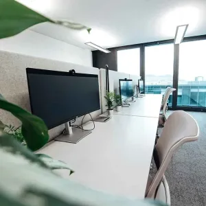 	Reihe moderner Arbeitsplätze mit großen Monitoren und Blick ins Freie