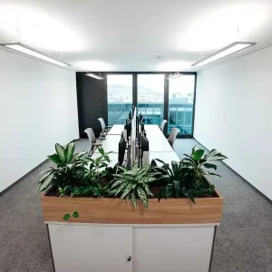 Büro mit hellen Arbeitsplätzen, Pflanzenmodul und Glasfront im Hintergrund