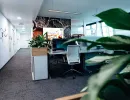Offenes Büro mit Pflanzen und Wandgrafik im Mars-Design
