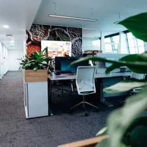 Offenes Büro mit Pflanzen und Wandgrafik im Mars-Design