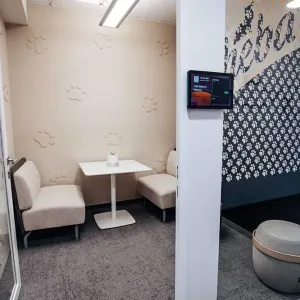 Kleiner Meetingraum mit hellem Interieur und Sheba-Logo an der Glaswand