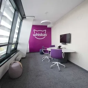 Whiskas Besprechungsraum mit lila Wand und weißen Möbeln