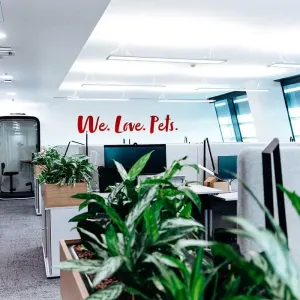 Moderne Telefonkabinen mit kleinem Besprechungsbereich und Pflanzen