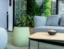 oungebereich mit Sofas, Pflanzen und Couchtisch in hellem Büroambiente