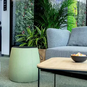 oungebereich mit Sofas, Pflanzen und Couchtisch in hellem Büroambiente