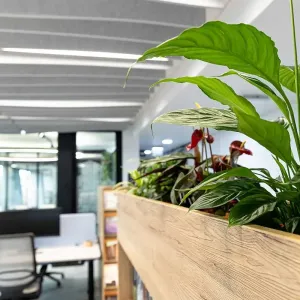 Holzelement mit Pflanzen und VCM-Logo trennt modernen Büroflur vom Arbeitsplatzbereich