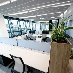 Großraumbüro mit hellen Arbeitsplätzen und Pflanzenmodul im Vordergrund