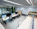 Nahaufnahme von begrüntem Pflanzenelement in modernem Open-Space-Büro
