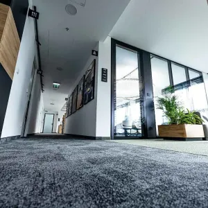 Loungebereich mit Sofas, Pflanzen und modernem Beistelltisch