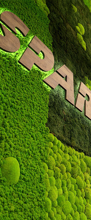 Image detail – moss wall